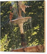 John Purdue Fountain In Color Wood Print