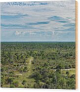 Jonathan Dickinson State Park Wide Angle Wood Print