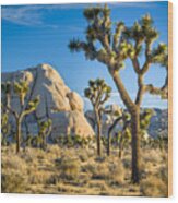 Joshua Tree And Intersection Rock Wood Print