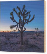 Joshua Tree Glow Wood Print