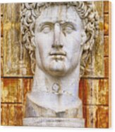 Julius Caesar At Vatican Museums 2 Wood Print