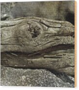 Jurassic Driftwood Wood Print