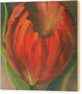 Just One Red Tulip Wood Print