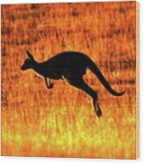 Kangaroo Sunset Wood Print