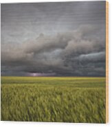 Thunderstorm Over Wheat Field Wood Print