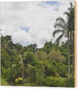 Kauai Hindu Monastery Greenery 1 Wood Print