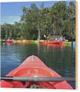 Kayaking For Manatees Wood Print
