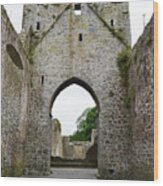 Kells Priory Arched Entry Beneath Tower County Kilkenny Ireland Wood Print