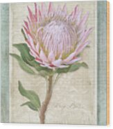 King Protea Blossom - Vintage Style Botanical Floral 1 Wood Print
