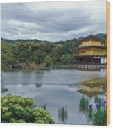 Kinkaku-ji Wood Print