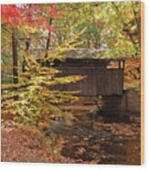 Knoebels Groves Bridge Wood Print