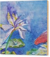Koi Dance Among The Water Lilies Wood Print