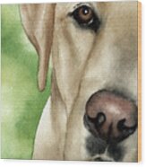 Labrador Retriever Wood Print