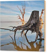Lake Bonney At Daybreak Wood Print