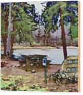 Lake Cheaha Wood Print