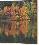 Lake Padden Autumn Wood Print