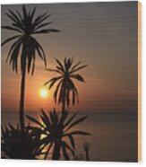 Lake Tana, Ethiopia Wood Print