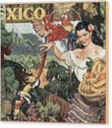 Mexico Land of Tropical Splendor Vintage Travel Advertisement Art Poster Print 