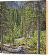 Landscape Rocky Mountains Wood Print