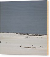 Landscapes Of White Sands 5 Wood Print