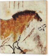 Lascaux Prehistoric Horse Detail Wood Print