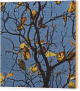 Last Leaves Of Autumn Wood Print