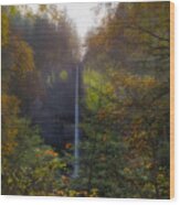 Latourell Falls In Autumn Wood Print