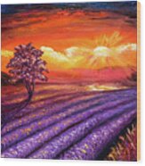 Lavender Field At Sunset Wood Print