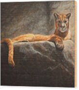 Laying Cougar Wood Print