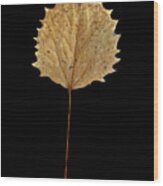 Leaf 14 Wood Print