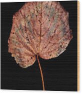 Leaf 8 Wood Print