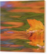 Leaf On Water Wood Print