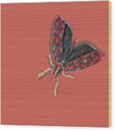 Leafhopper Wood Print