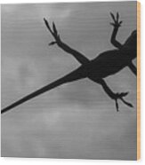 Leaping Lizard Wood Print