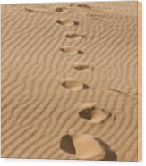 Leave Only Footprints Wood Print