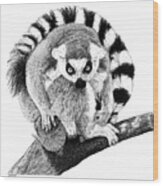 Lemur Wood Print