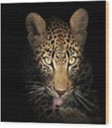 Leopard In The Dark Wood Print