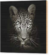 Leopard Portrait In The Dark Wood Print