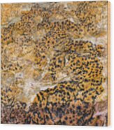Lichen Abstract, Bhimbetka, 2016 Wood Print