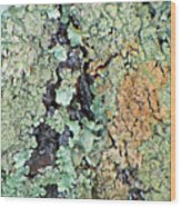 Lichen Field Wood Print