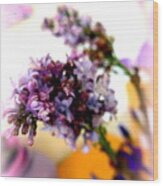 Lilac Beauty Wood Print