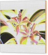 Lily Burst
#flower #notphotoshop Wood Print