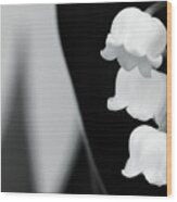 Lily Of The Valley Abstract Wood Print