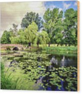 Lily Pond Of England Wood Print