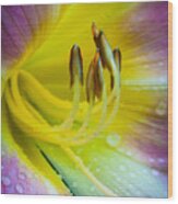 Lily Universe Wood Print