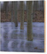 Line Of Trees In Ice Wood Print