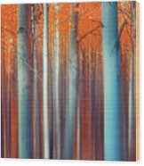 Lines Of Autumn Wood Print
