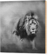 Lion - Pride Of Africa 3 - Tribute To Cecil In Black And White Wood Print