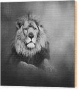 Lion - Pride Of Africa I - Tribute To Cecil In Black And White Wood Print