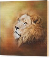 Lion - Pride Of Africa II - Tribute To Cecil Wood Print
